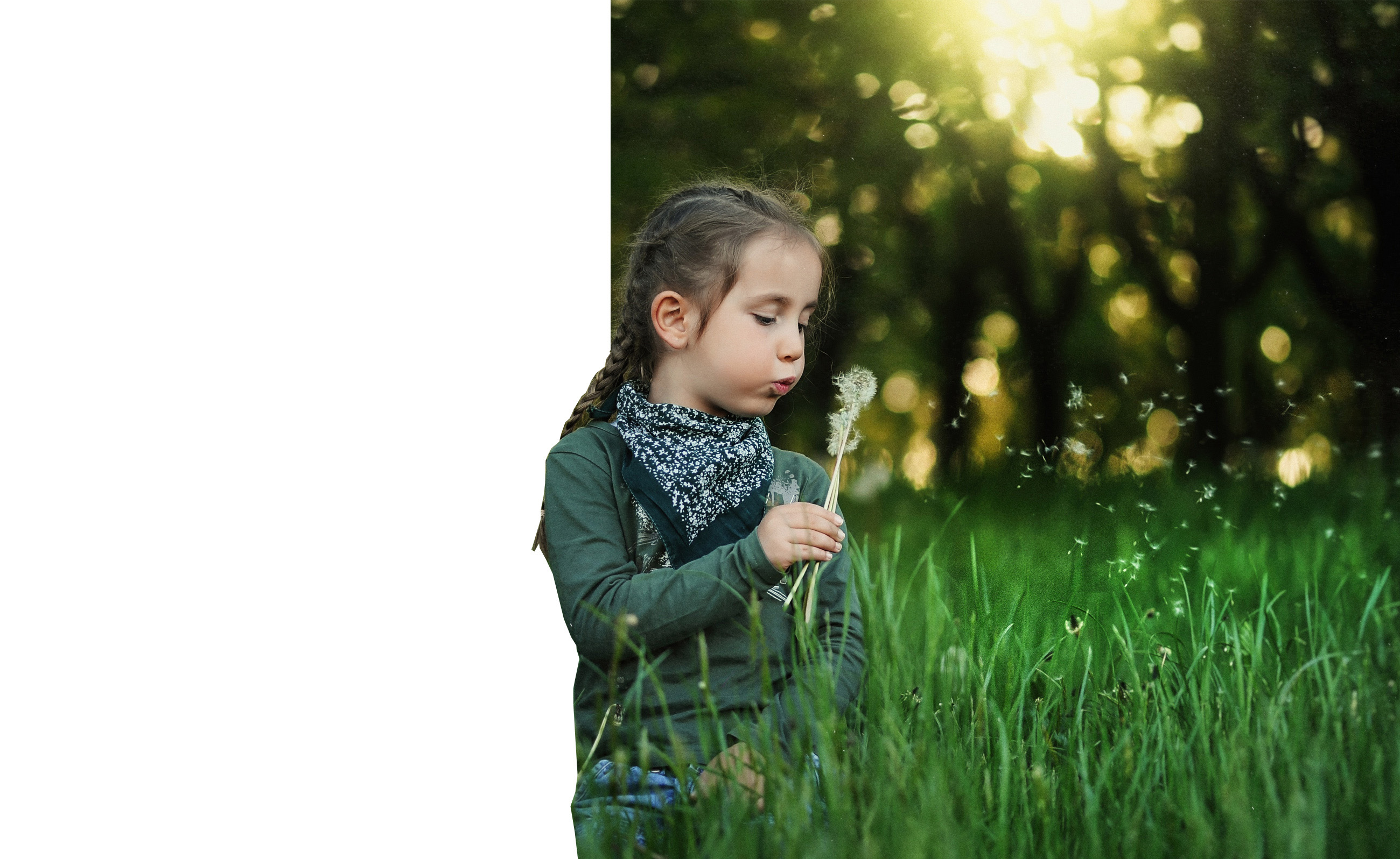 La tranquilité d'esprit pour votre petite famille